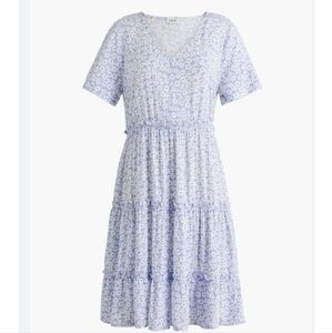 J. Crew Light Blue Floral Dress